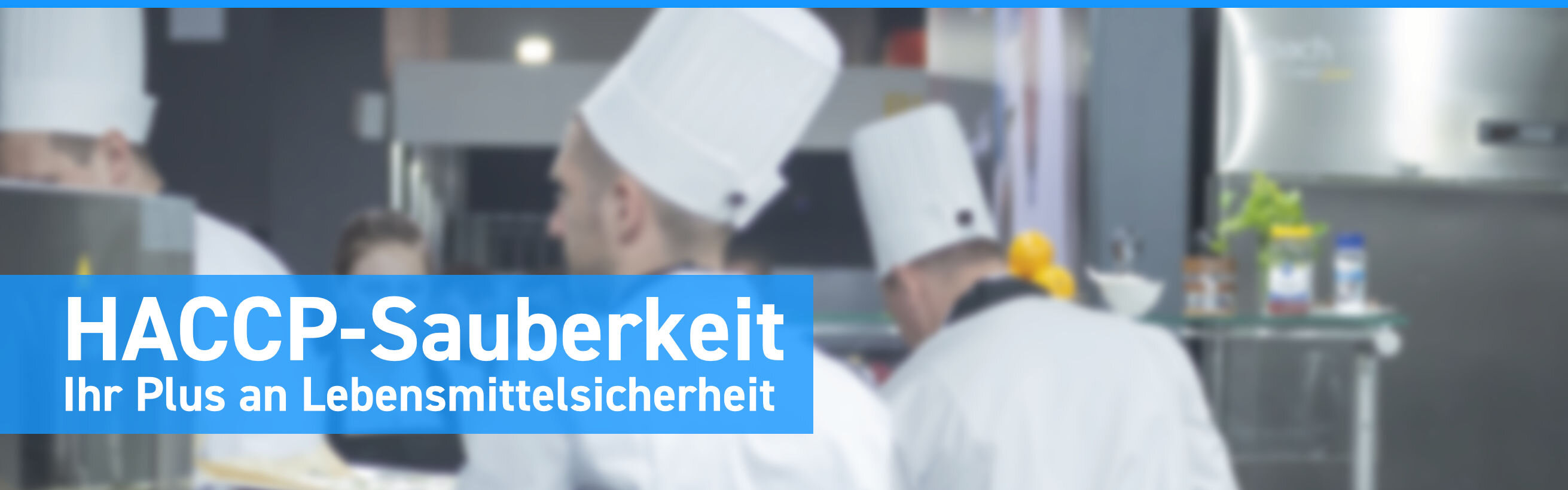 HACCP-Sauberkeit in Gastronomie, Küchen,  Catering und...