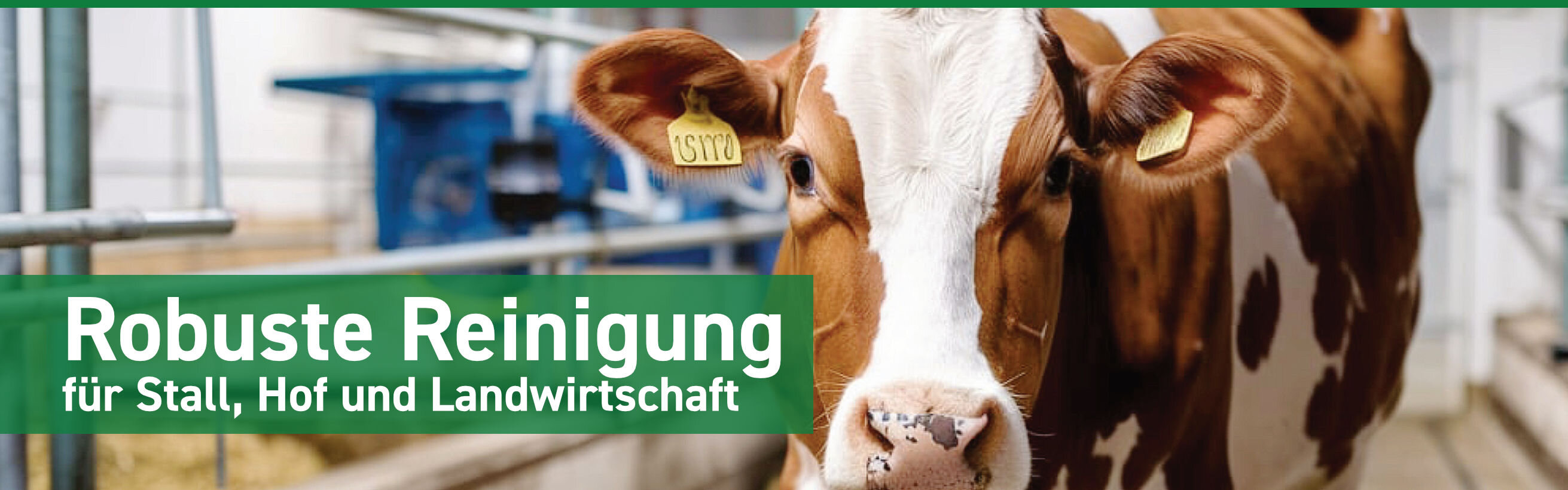 Stall mit Kuh, Text im Bild: "Robuste Reinigung für...